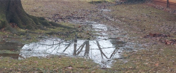 wind-mitigation-inspection-header